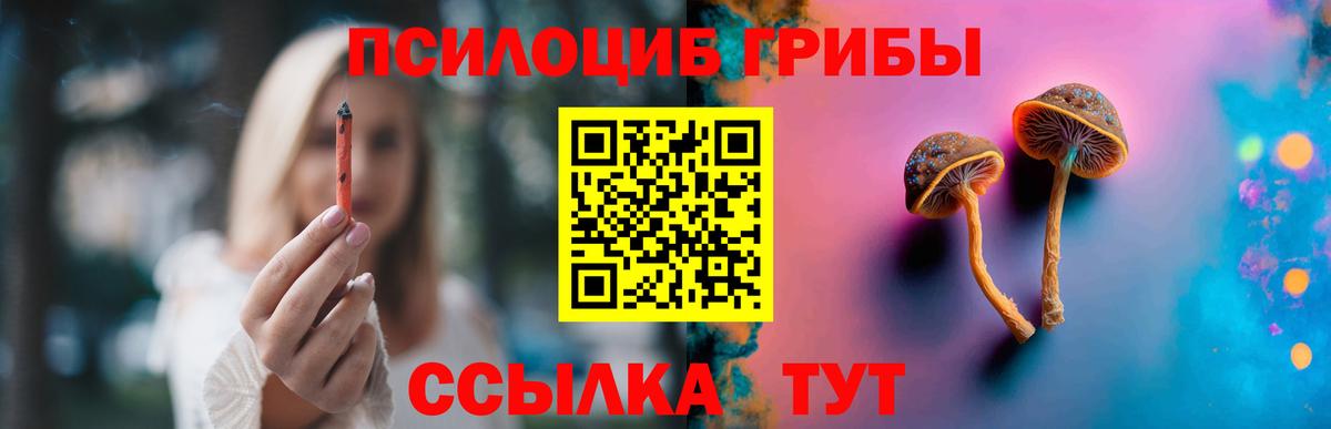 Галлюциногенные грибы Psilocybine cubensis  Галлюциногенные грибы мицелий  Вход с VPN  Ростов-на-Дону 